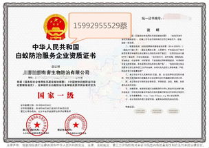 深圳教育咨詢服務 專業導航，助力學子與家庭的教育成長之路
